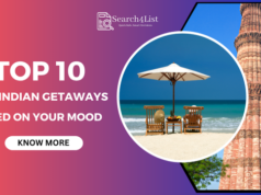Beach or Mountains? Best Indian Getaways Based on Your Mood